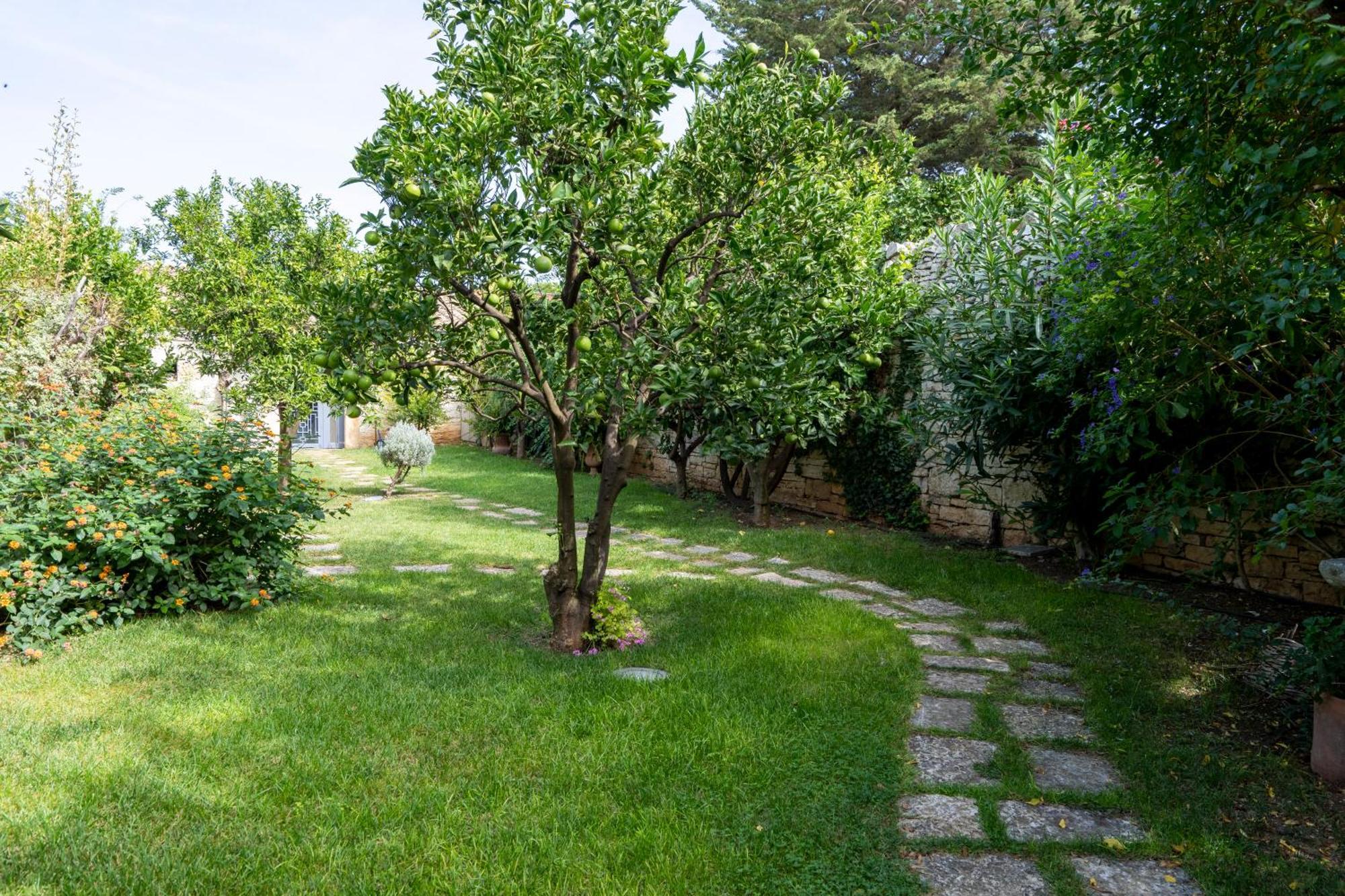 Domus Templaris Bed and Breakfast Terlizzi Exteriör bild